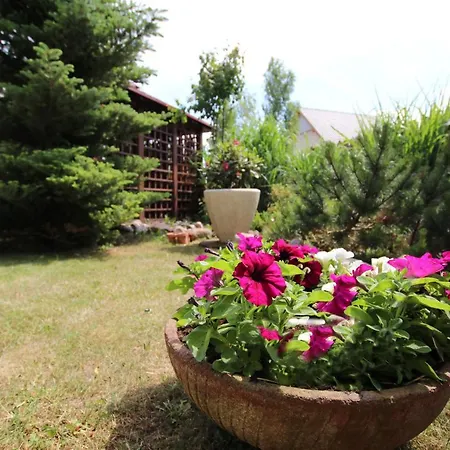 Afryka Apartment Rewal